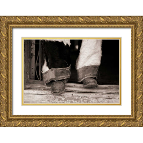 Furry Chaps Gold Ornate Wood Framed Art Print with Double Matting by Dearing, Lisa