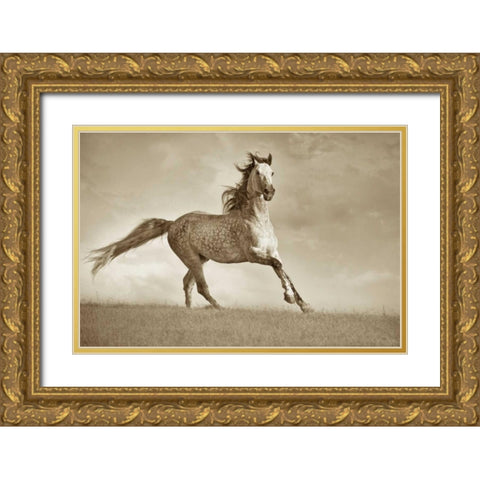 Like The Wind Gold Ornate Wood Framed Art Print with Double Matting by Dearing, Lisa