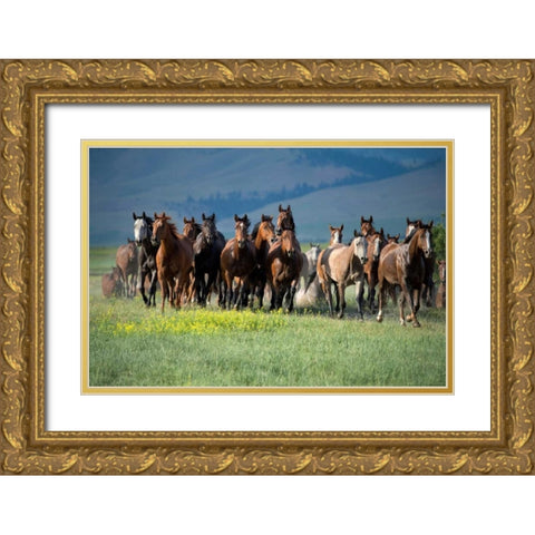 Montana Thunder Gold Ornate Wood Framed Art Print with Double Matting by Dearing, Lisa