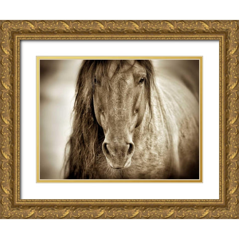 Mustang Sally Gold Ornate Wood Framed Art Print with Double Matting by Dearing, Lisa