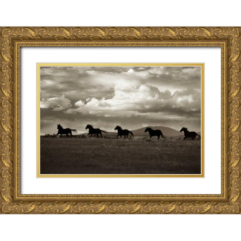 Racing The Clouds Gold Ornate Wood Framed Art Print with Double Matting by Dearing, Lisa