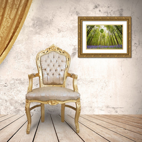 Hallerbos Gold Ornate Wood Framed Art Print with Double Matting by Dragt, Wilco