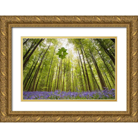 Hallerbos Gold Ornate Wood Framed Art Print with Double Matting by Dragt, Wilco