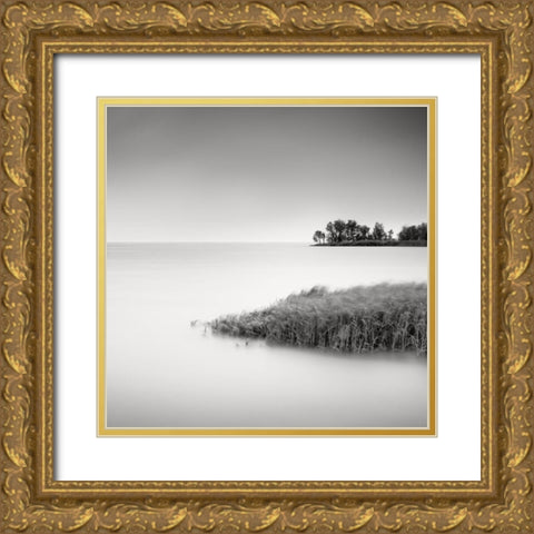 Makkum II Gold Ornate Wood Framed Art Print with Double Matting by Dragt, Wilco