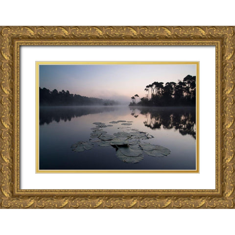 Oisterwijkse Vennen Gold Ornate Wood Framed Art Print with Double Matting by Dragt, Wilco