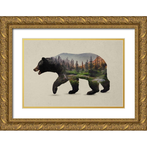 The North American Black Bear Gold Ornate Wood Framed Art Print with Double Matting by Davies Babies