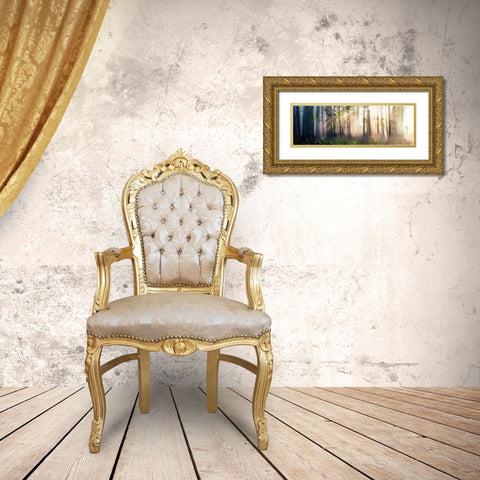 Constancy Gold Ornate Wood Framed Art Print with Double Matting by Decker, Cynthia