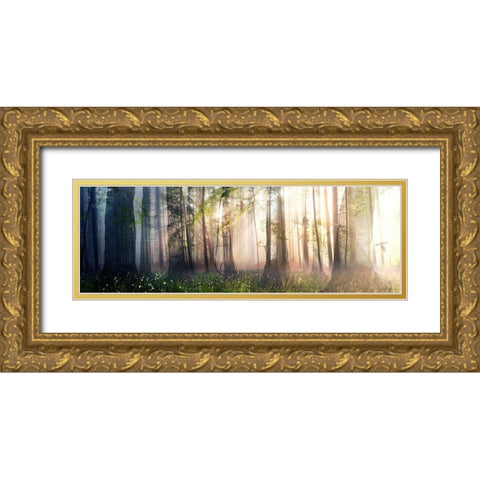 Constancy Gold Ornate Wood Framed Art Print with Double Matting by Decker, Cynthia