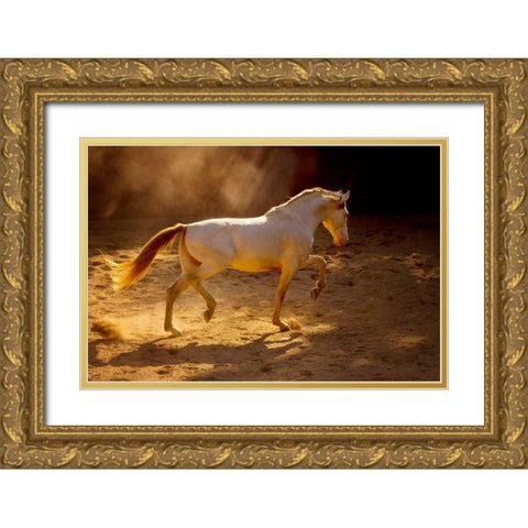 Dancing In The Light Gold Ornate Wood Framed Art Print with Double Matting by Dearing, Lisa