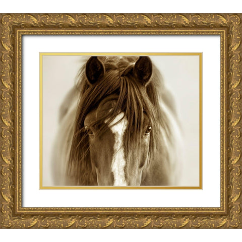 Ghost Horse Gold Ornate Wood Framed Art Print with Double Matting by Dearing, Lisa