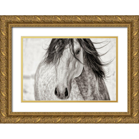 My Beautiful Mane Gold Ornate Wood Framed Art Print with Double Matting by Dearing, Lisa
