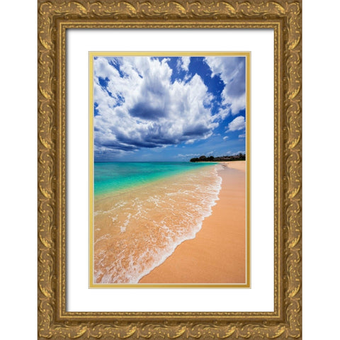 A Perfect Day Gold Ornate Wood Framed Art Print with Double Matting by Davis, Lizzy