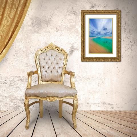 Emerald Dreams Gold Ornate Wood Framed Art Print with Double Matting by Davis, Lizzy