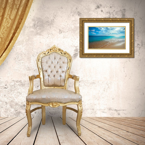 Turquoise Tranquility Gold Ornate Wood Framed Art Print with Double Matting by Davis, Lizzy