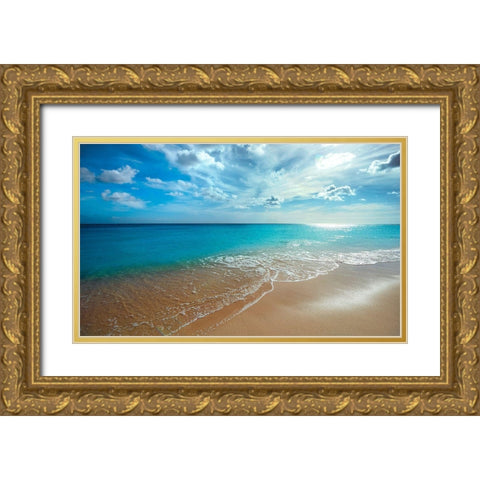 Turquoise Tranquility Gold Ornate Wood Framed Art Print with Double Matting by Davis, Lizzy