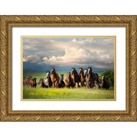 Running Free II Gold Ornate Wood Framed Art Print with Double Matting by Dearing, Lisa