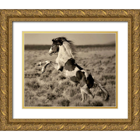 Wild Painted Pony Gold Ornate Wood Framed Art Print with Double Matting by Dearing, Lisa