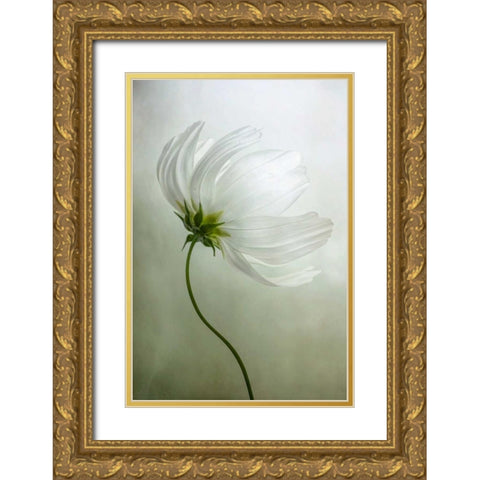 Cosmos Charisma Gold Ornate Wood Framed Art Print with Double Matting by Disher, Mandy