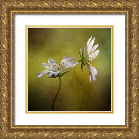 Echo Gold Ornate Wood Framed Art Print with Double Matting by Disher, Mandy