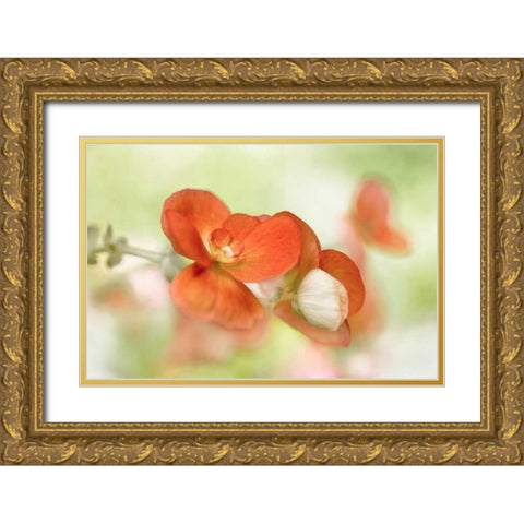 Summer Glow Gold Ornate Wood Framed Art Print with Double Matting by Disher, Mandy