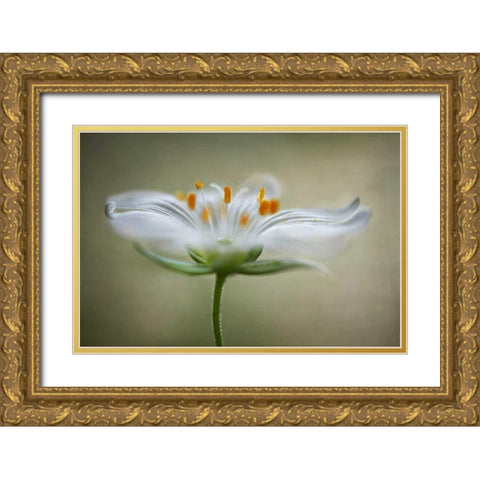 Summer Swirl Gold Ornate Wood Framed Art Print with Double Matting by Disher, Mandy