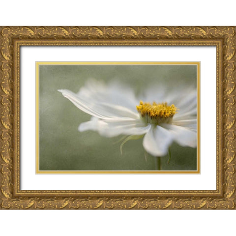 Whisper Gold Ornate Wood Framed Art Print with Double Matting by Disher, Mandy