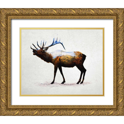 Rocky Mountain Elk Gold Ornate Wood Framed Art Print with Double Matting by Davies Babies