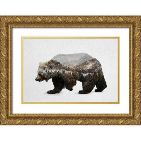 The Kodiak Brown Bear Gold Ornate Wood Framed Art Print with Double Matting by Davies Babies
