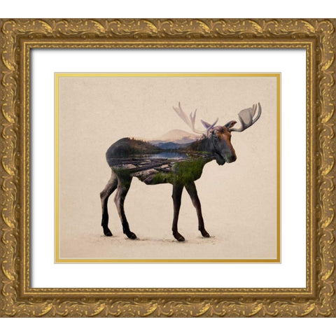 The Alaskan Bull Moose Gold Ornate Wood Framed Art Print with Double Matting by Davies Babies