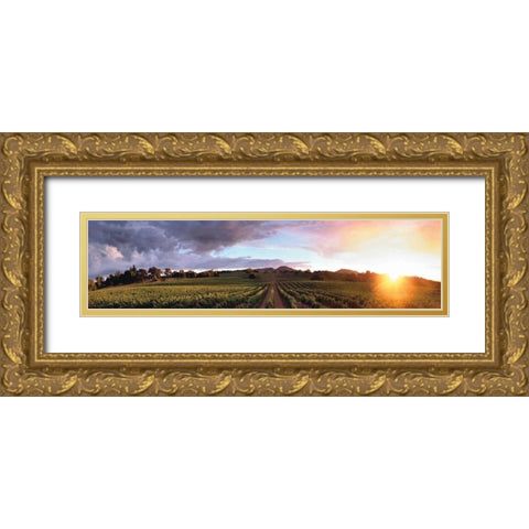 Gout de Terroir Gold Ornate Wood Framed Art Print with Double Matting by Foster, Christopher