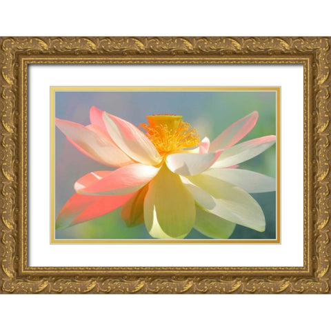 Dancing Queen Gold Ornate Wood Framed Art Print with Double Matting by Farzad, Bahman