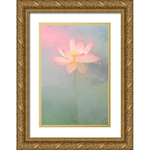 Pink Passion Gold Ornate Wood Framed Art Print with Double Matting by Farzad, Bahman