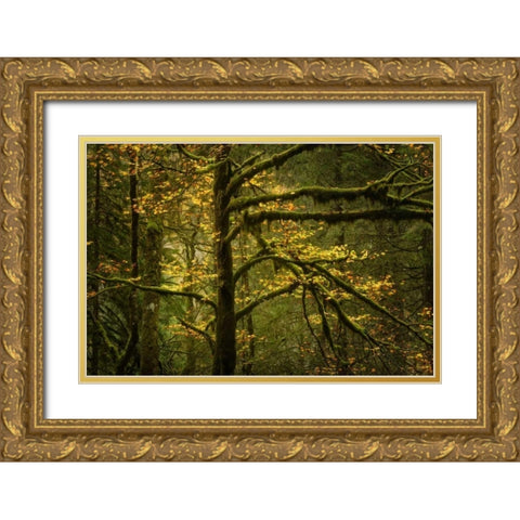 Golden Drops Gold Ornate Wood Framed Art Print with Double Matting by Fossati, Enrico