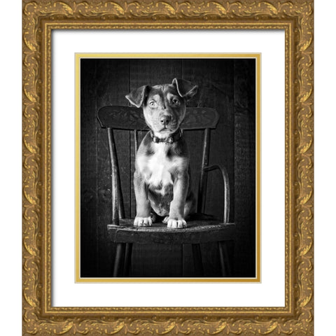 Mutt Black and White Gold Ornate Wood Framed Art Print with Double Matting by Fielding, Edward M.