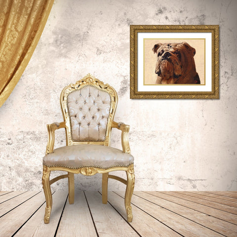 Bulldog Gold Ornate Wood Framed Art Print with Double Matting by Fluharty, Thomas