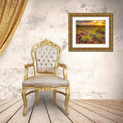 Brittlebush Sunset Gold Ornate Wood Framed Art Print with Double Matting by Gavrilis, John