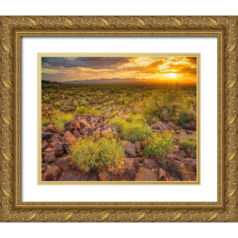 Brittlebush Sunset Gold Ornate Wood Framed Art Print with Double Matting by Gavrilis, John