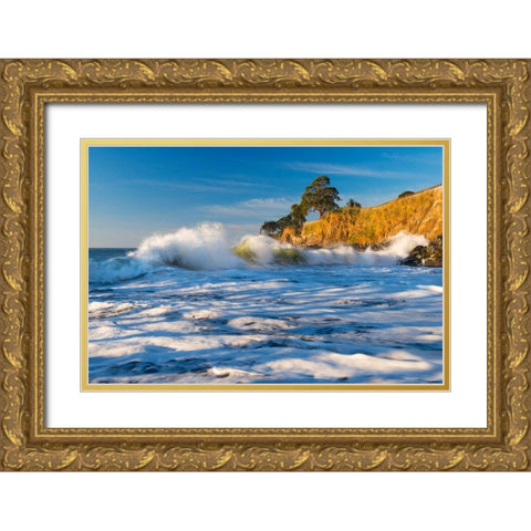 Capitola Cliffs and Waves Gold Ornate Wood Framed Art Print with Double Matting by Gavrilis, John
