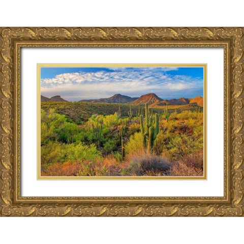 Jewel Evening Gold Ornate Wood Framed Art Print with Double Matting by Gavrilis, John