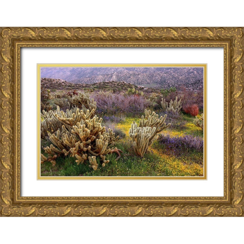 Desert Cactus and Wildflowers Gold Ornate Wood Framed Art Print with Double Matting by Gavrilis, John