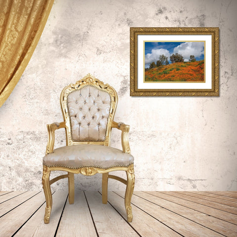 Poppies-Trees And Clouds Gold Ornate Wood Framed Art Print with Double Matting by Gavrilis, John