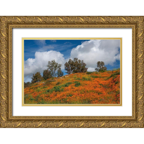 Poppies-Trees And Clouds Gold Ornate Wood Framed Art Print with Double Matting by Gavrilis, John