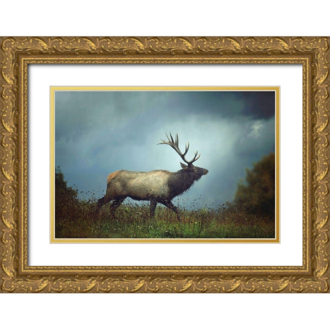 The Elk Gold Ornate Wood Framed Art Print with Double Matting by Grippo-Pike, Carrie Ann