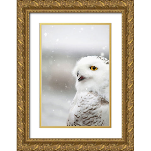 Snowy Owl in the Snow Gold Ornate Wood Framed Art Print with Double Matting by Grippo-Pike, Carrie Ann