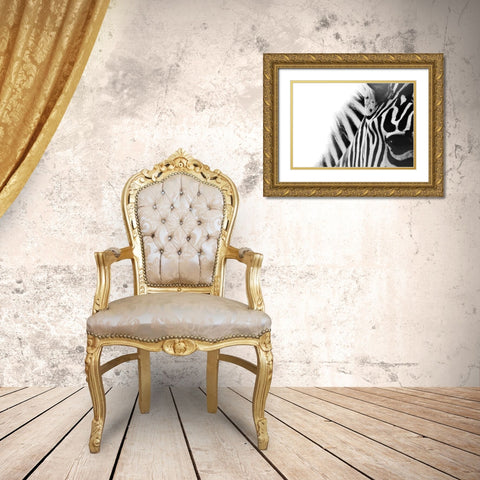 Zebra Eye Gold Ornate Wood Framed Art Print with Double Matting by Grippo-Pike, Carrie Ann