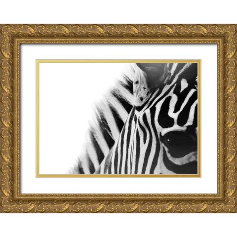 Zebra Eye Gold Ornate Wood Framed Art Print with Double Matting by Grippo-Pike, Carrie Ann