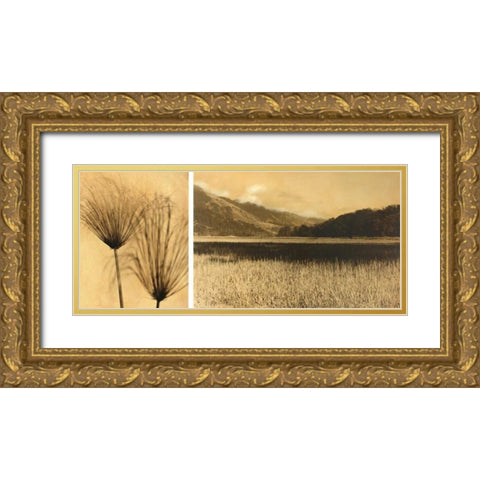 Bolinas Lagoon #7 Gold Ornate Wood Framed Art Print with Double Matting by Gauthier, Jan