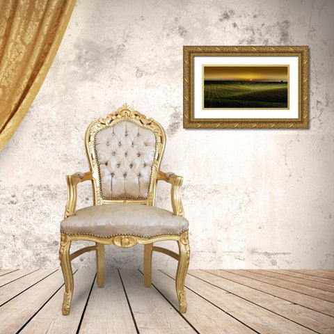 Alentejo Sunset Gold Ornate Wood Framed Art Print with Double Matting by Goncalves, Adelino