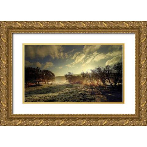 Here Comes the Sun Gold Ornate Wood Framed Art Print with Double Matting by Goncalves, Adelino