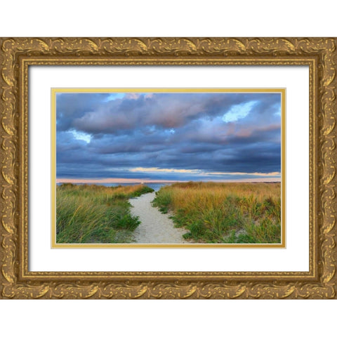 Jetties Beach Path Gold Ornate Wood Framed Art Print with Double Matting by Gendreau, Katherine